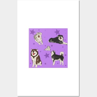 Alaskan Malamute Pattern Purple Posters and Art